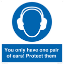 mandatory-you-only-have-one-pair-of-ears-protect-them~